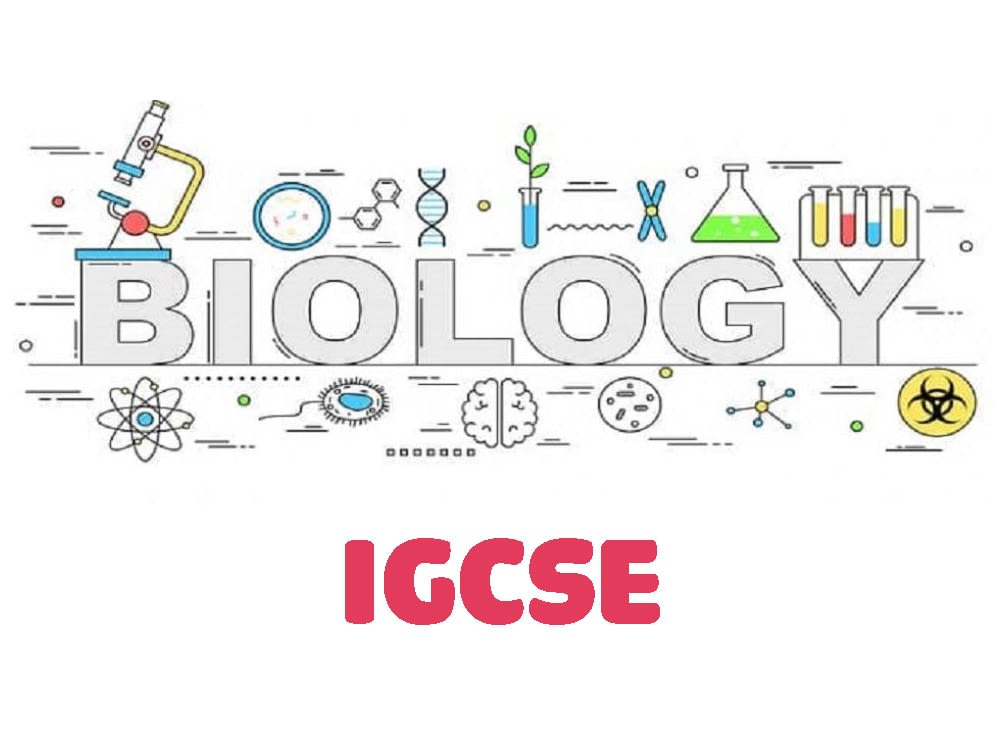 igcse-biology-tutor