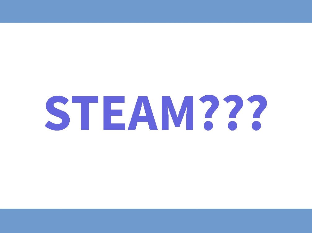 what-is-steam-program