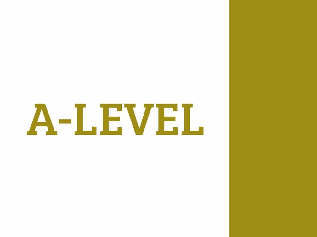 a-level-program-syllabus