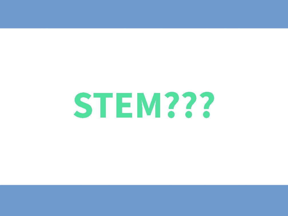 what-is-stem-program